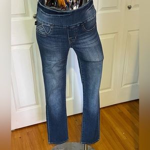 Rock & Republic Fever pull on Jeans